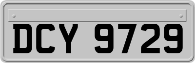 DCY9729