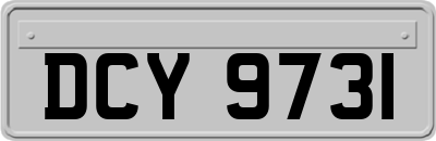 DCY9731