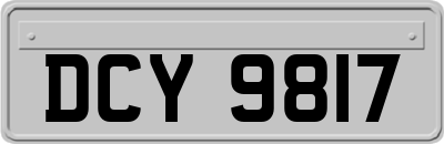 DCY9817