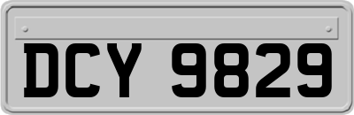 DCY9829
