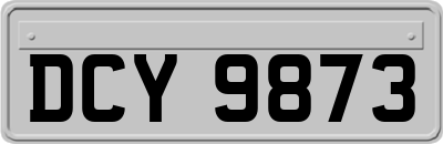 DCY9873