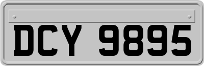 DCY9895