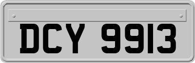 DCY9913