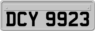 DCY9923