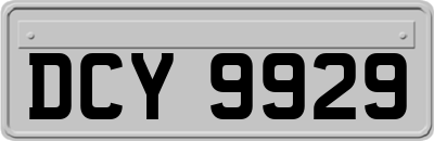 DCY9929