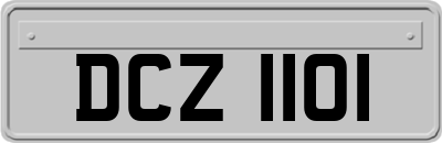 DCZ1101