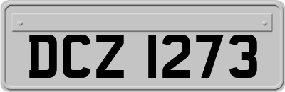 DCZ1273