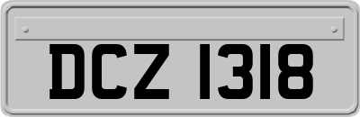 DCZ1318