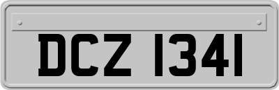 DCZ1341