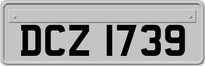DCZ1739