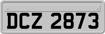 DCZ2873