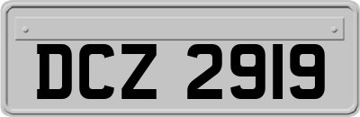DCZ2919