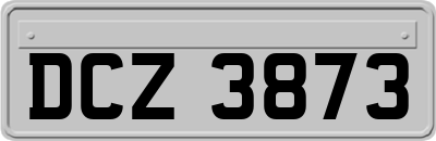 DCZ3873