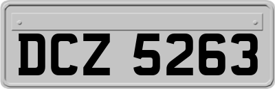 DCZ5263