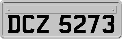 DCZ5273
