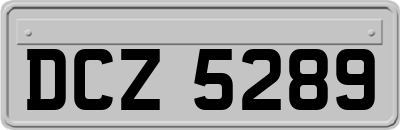 DCZ5289