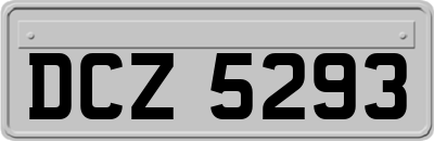 DCZ5293