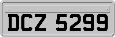 DCZ5299