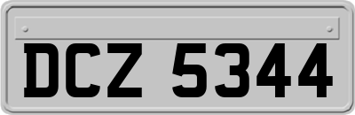 DCZ5344