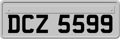 DCZ5599