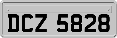 DCZ5828