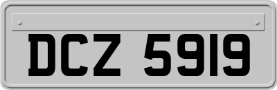 DCZ5919