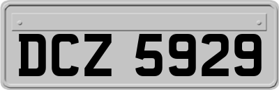 DCZ5929
