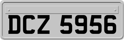 DCZ5956