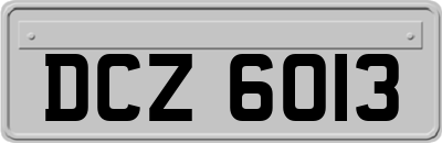 DCZ6013