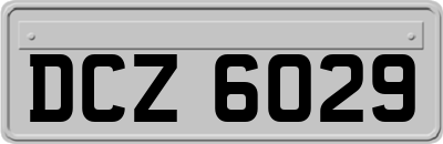 DCZ6029