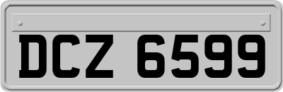 DCZ6599