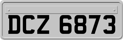 DCZ6873