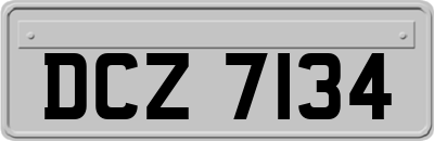 DCZ7134