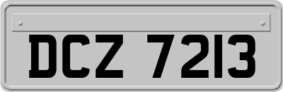 DCZ7213