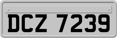 DCZ7239