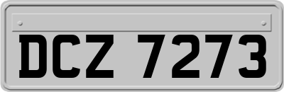 DCZ7273