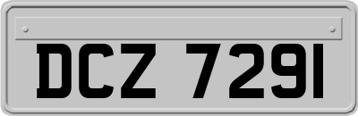 DCZ7291