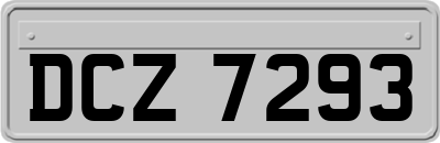 DCZ7293