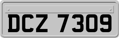 DCZ7309