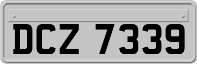DCZ7339