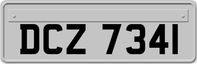 DCZ7341