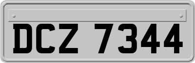 DCZ7344