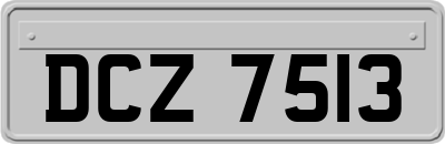 DCZ7513