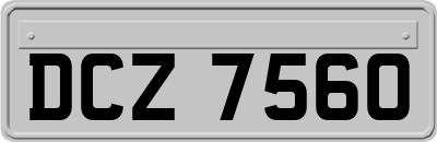 DCZ7560