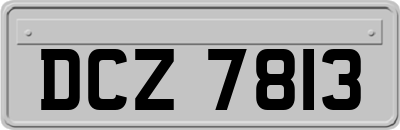 DCZ7813