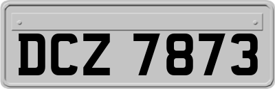 DCZ7873