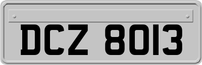 DCZ8013