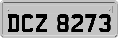 DCZ8273