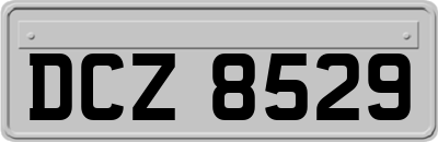 DCZ8529