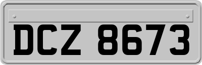 DCZ8673